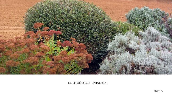 Píldoras (de Otoño) otoño1