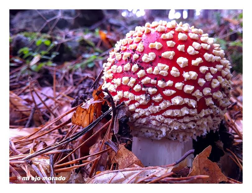 Irrealidad Irrealidad