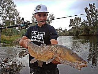 Barbos y artificiales! Barbos y artificiales!