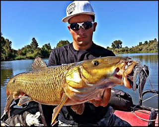 Barbos y artificiales! Barbos y artificiales!