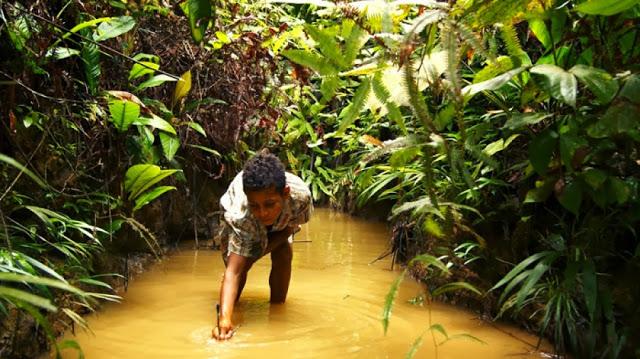 MIDBOG 15: El charco Azul MIDBOG 15: El charco Azul