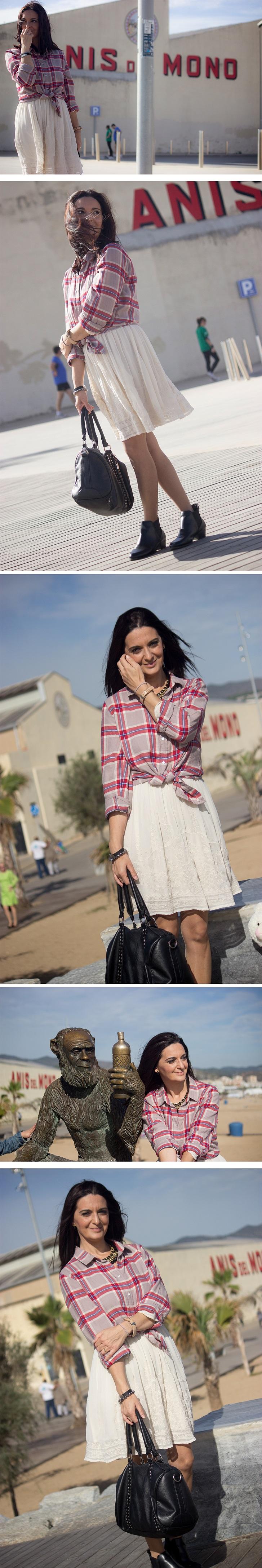 Anís del Mono Anís del Mono