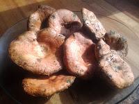 ROVELLONES CON GAMBAS EN SALSA DUKE WELLINGTON ROVELLONES CON GAMBAS EN SALSA DUKE WELLINGTON