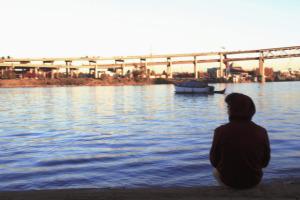 Cinco lobitos por Sr. Lobo. img_1527