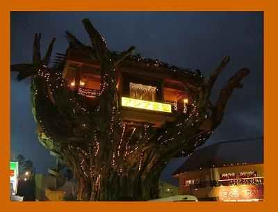 Un restaurante en la copa de un arbol.