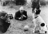 Pickles, el perro que salvó una Copa del Mundo de fútbol Pickles, el perro que salvó una Copa del Mundo de fútbol