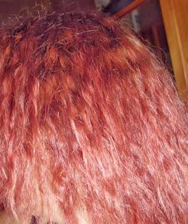 Cerezoterapia. Mascarilla Remineralizante Cerezoterapia. Mascarilla Remineralizante