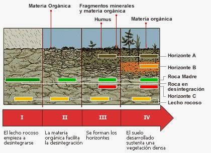 La roca madre, apuntes para curiosos, estudiantes y otros animales