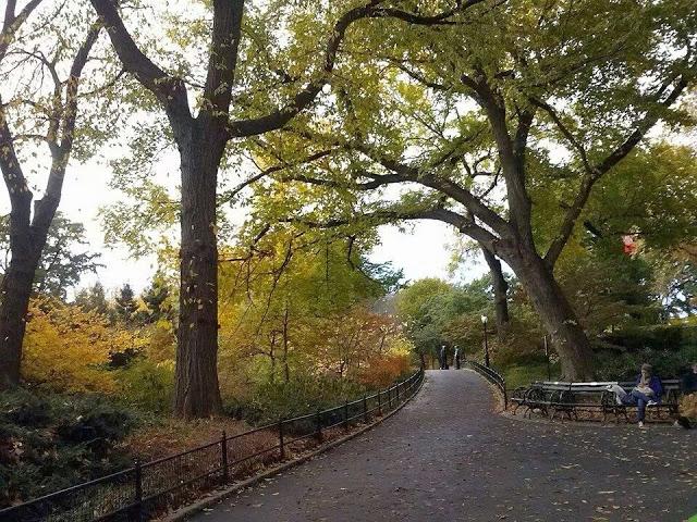 #microrelato:Estación de otoño. #microrelato:Estación de otoño.