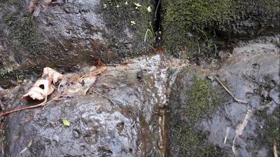 PIRAMIDES PERDIDAS DESCUBIERTAS EN LA SELVA DE ECUADOR,UNA POSIBLE CONEXION CON LOS GIGANTES. PIRAMIDES PERDIDAS DESCUBIERTAS EN LA SELVA DE ECUADOR,UNA POSIBLE CONEXION CON LOS GIGANTES.