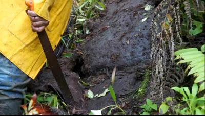 PIRAMIDES PERDIDAS DESCUBIERTAS EN LA SELVA DE ECUADOR,UNA POSIBLE CONEXION CON LOS GIGANTES. PIRAMIDES PERDIDAS DESCUBIERTAS EN LA SELVA DE ECUADOR,UNA POSIBLE CONEXION CON LOS GIGANTES.