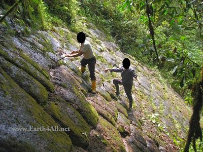 PIRAMIDES PERDIDAS DESCUBIERTAS EN LA SELVA DE ECUADOR,UNA POSIBLE CONEXION CON LOS GIGANTES. PIRAMIDES PERDIDAS DESCUBIERTAS EN LA SELVA DE ECUADOR,UNA POSIBLE CONEXION CON LOS GIGANTES.