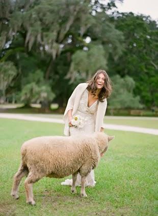 UNA BODA EN EL CAMPO....RODEADA DE NATURALEZA UNA BODA EN EL CAMPO....RODEADA DE NATURALEZA
