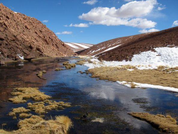 Mochilando por Chile. Día 14: Ultimo día en Atacama. Geysers del Tatio y Museo Gustavo Le Paige chile-dia-14-