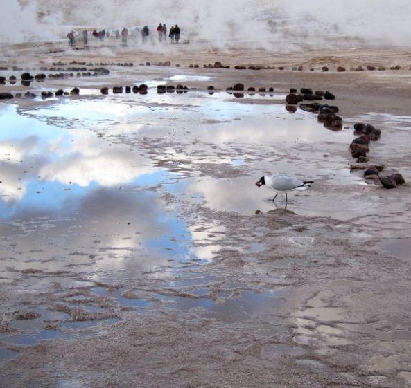Mochilando por Chile. Día 14: Ultimo día en Atacama. Geysers del Tatio y Museo Gustavo Le Paige chile-dia-14
