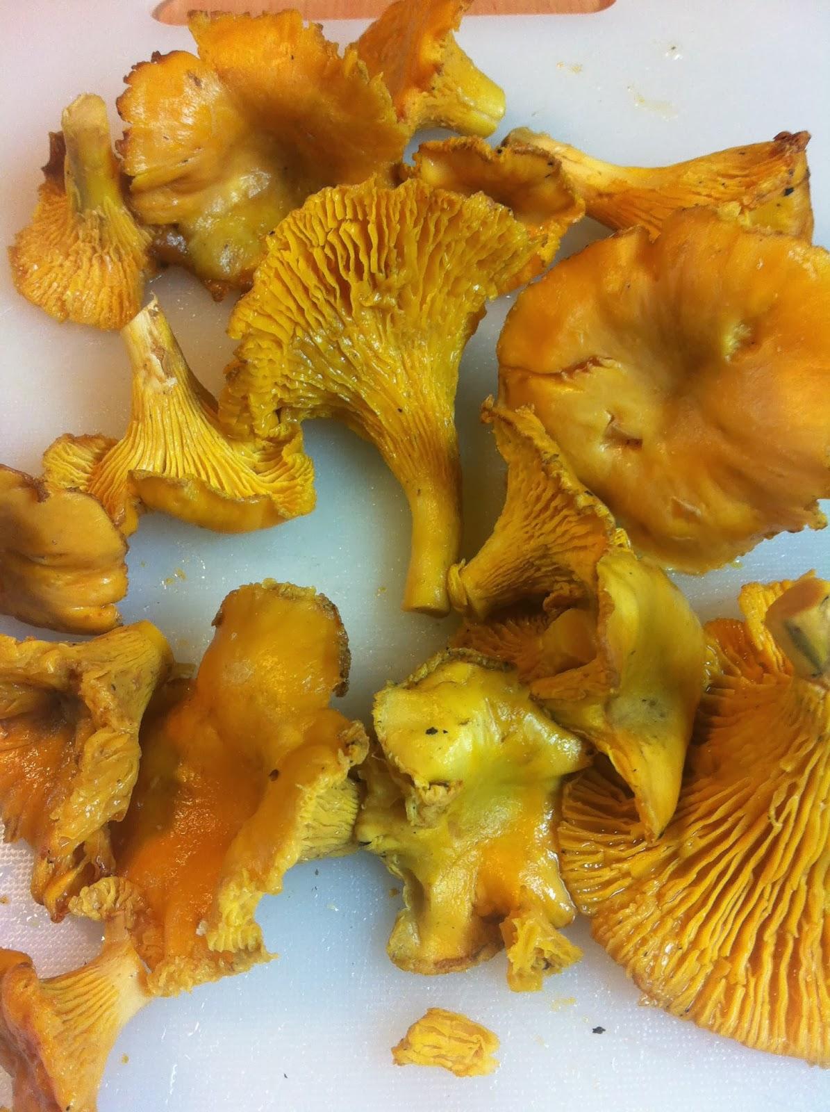 Huevos Fritos Con Rebozuelos Y Patatas Huevos Fritos Con Rebozuelos Y Patatas