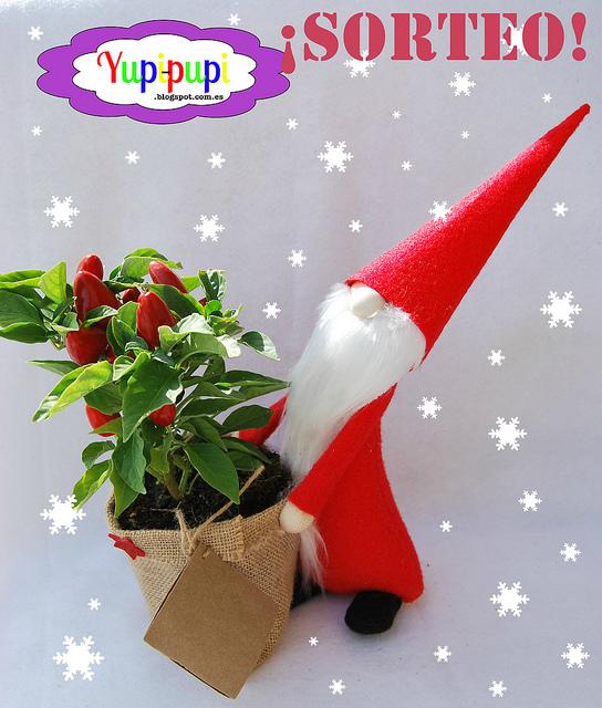 … de tener un gnomo navideño en casa Gnomo navideño