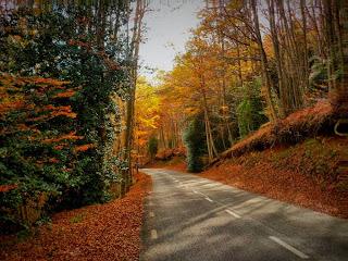 On the road, Montseny
