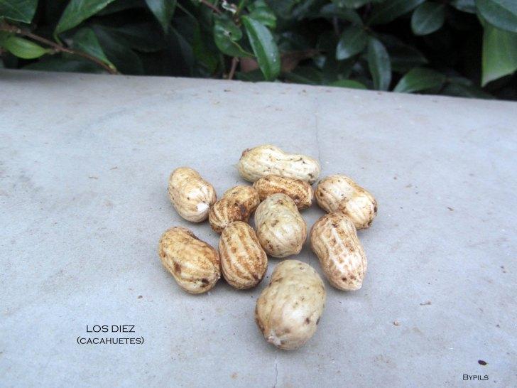 Breve historia de diez cacahuetes. diez