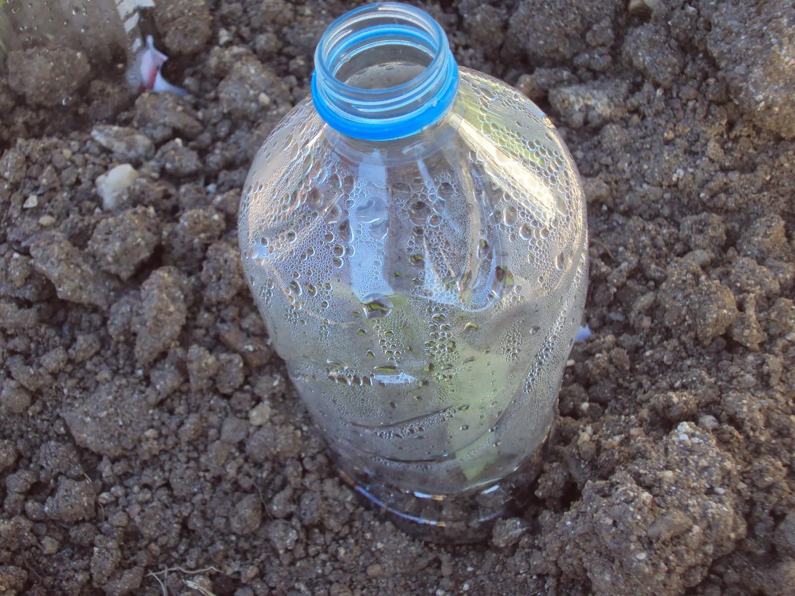 UN EXPERIMENTO EN EL HUERTO: PRIMERA SEMANA UN EXPERIMENTO EN EL HUERTO: PRIMERA SEMANA