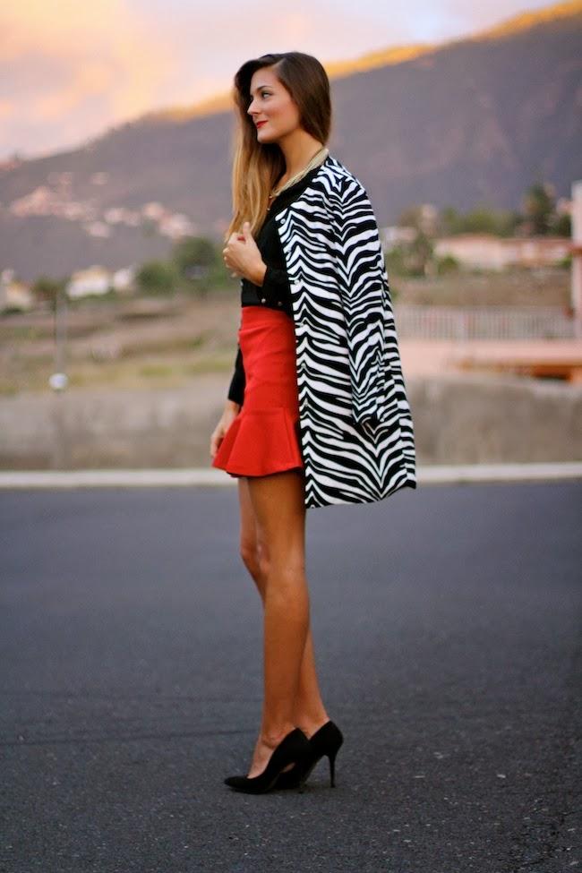 Zebra Coat Zebra Coat