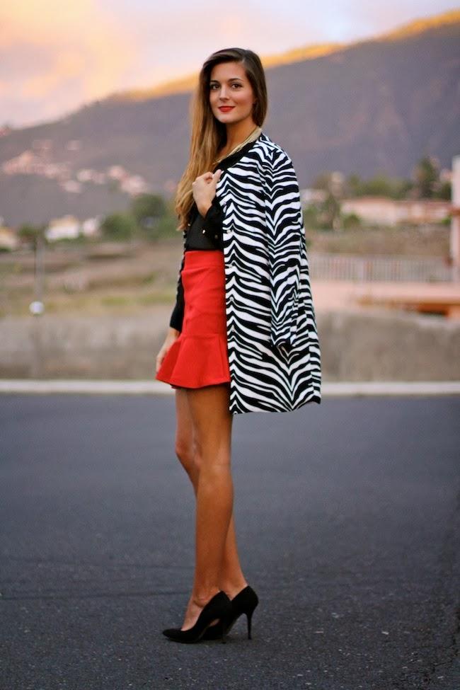 Zebra Coat Zebra Coat