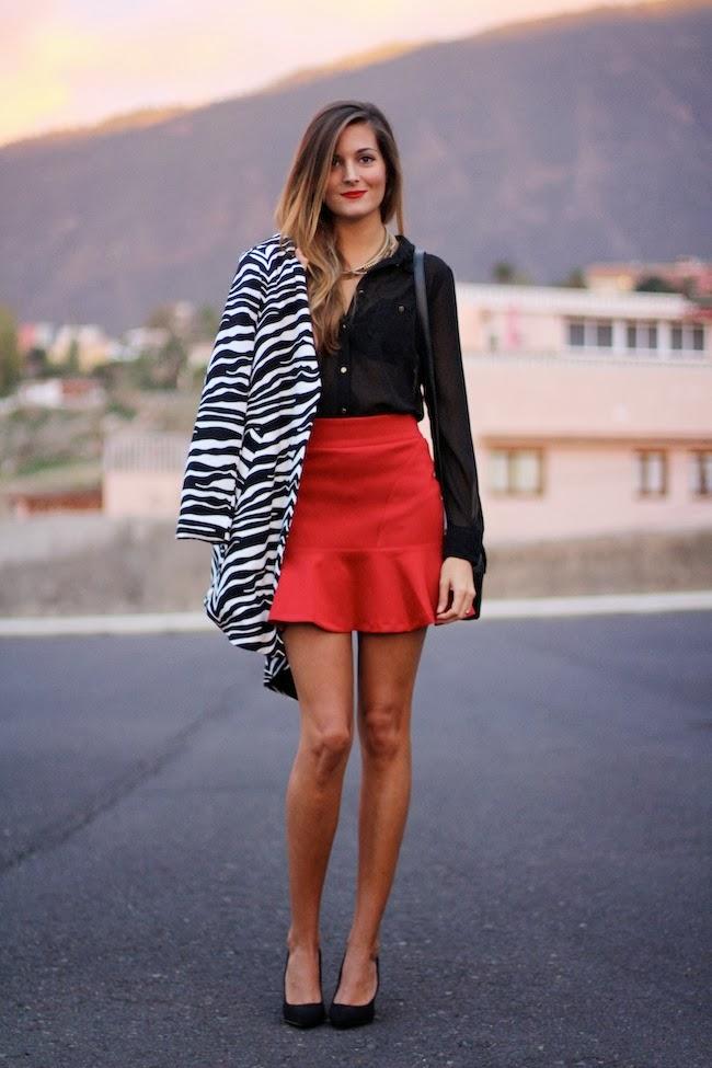 Zebra Coat Zebra Coat