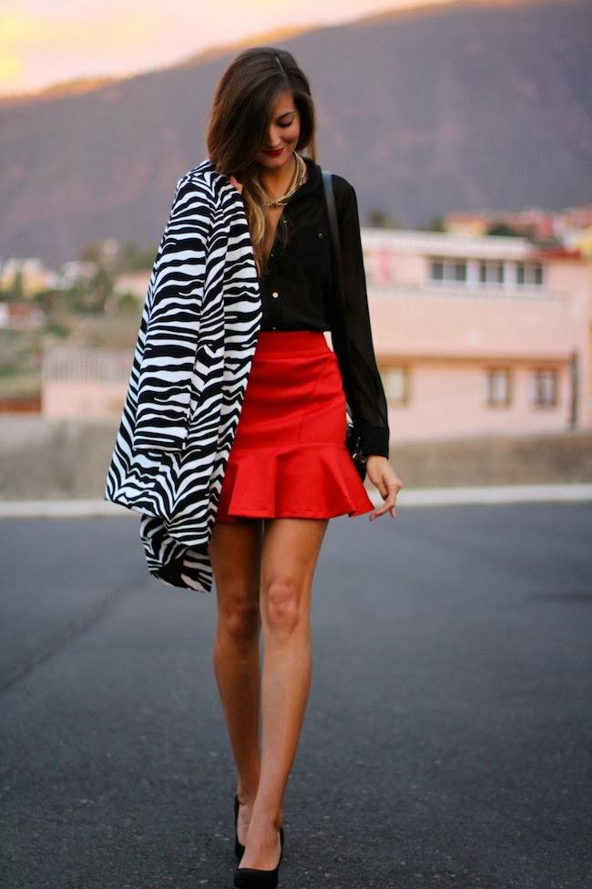 Zebra Coat Zebra Coat