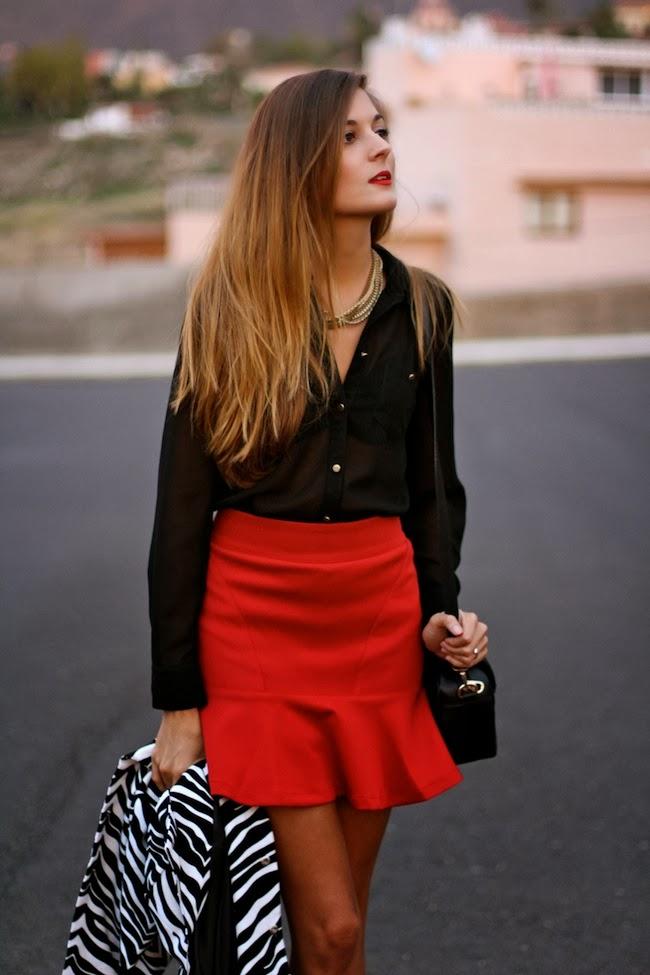 Zebra Coat Zebra Coat