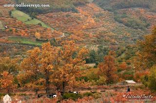 Escapada al Valle del Jerte: planes para el  fin de semana (15, 16 y 17 de noviembre)