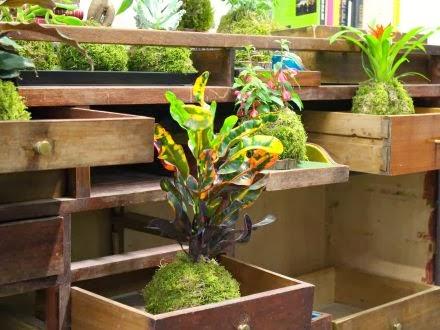 Jardines Kokedama Jardines Kokedama