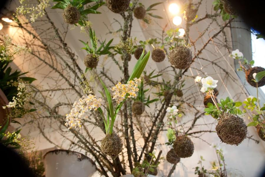 Jardines Kokedama Jardines Kokedama