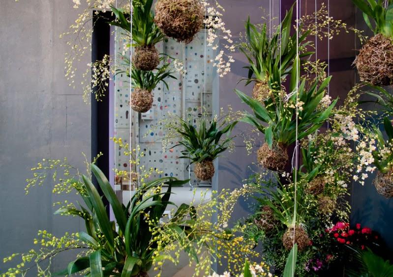 Jardines Kokedama Jardines Kokedama