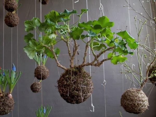 Jardines Kokedama Jardines Kokedama