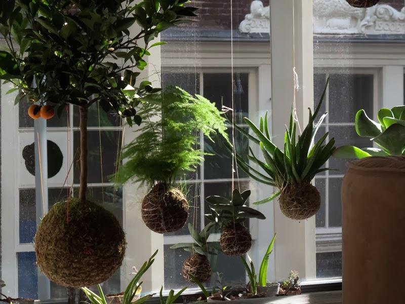 Jardines Kokedama Jardines Kokedama