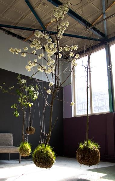 Jardines Kokedama Jardines Kokedama