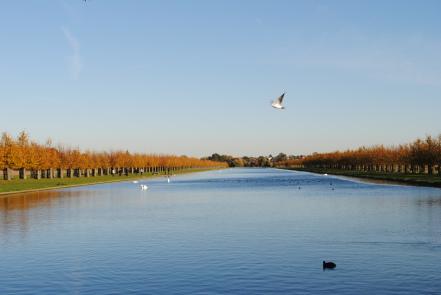 La historia detrás de Hampton Court Palace jardin hampton court palace