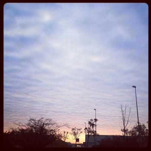 Miércoles mudo: Dicen que cambia el tiempo Dicen que llega el otoño de verdad #natura