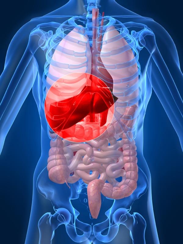 Résultat de recherche d'images pour "hepatitis c"