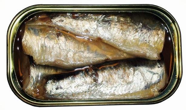 Qué sabes de las sardinas