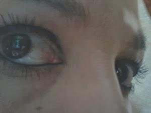 EGO-Colección Magic Show. EGO-Colección Magic Show.