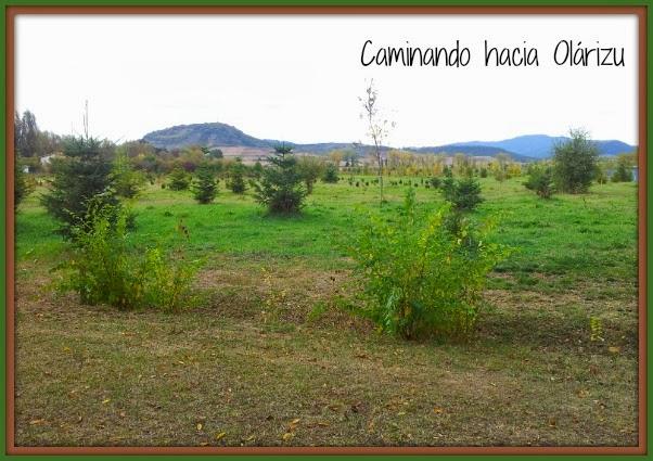 Blogger Traveller: Hojas Blogger Traveller: Hojas