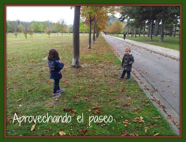 Blogger Traveller: Hojas Blogger Traveller: Hojas