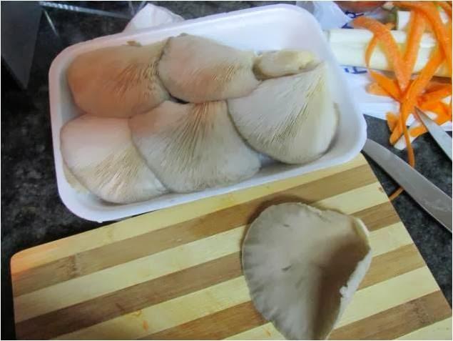 TERNERA GUISADA CON SETAS TERNERA GUISADA CON SETAS