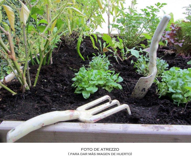 Las lechugas…florecen. atrezzo