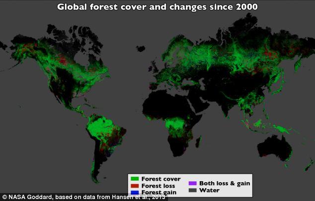 ALARMANTE: Google map revela el ritmo devastador de la deforestación en todo el Mundo article-2507837-196DFE3800000578-964_634x406
