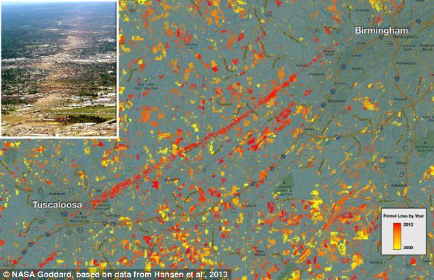 ALARMANTE: Google map revela el ritmo devastador de la deforestación en todo el Mundo Los mapas de cobertura forestal también capturan perturbaciones naturales