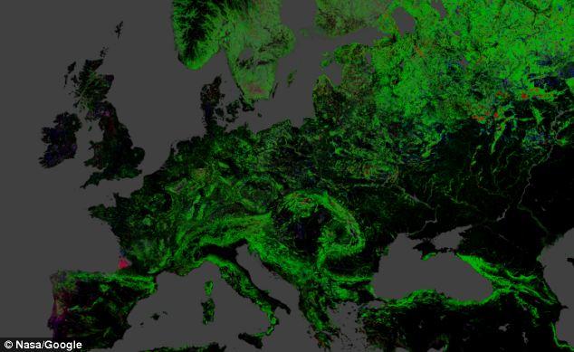 ALARMANTE: Google map revela el ritmo devastador de la deforestación en todo el Mundo La deforestación en Europa