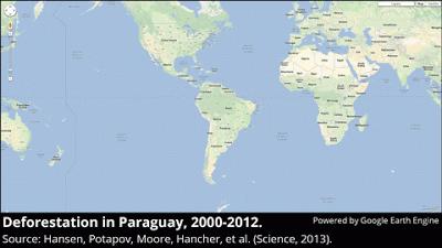 ALARMANTE: Google map revela el ritmo devastador de la deforestación en todo el Mundo ALARMANTE: Google map revela el ritmo devastador de la deforestación en todo el Mundo