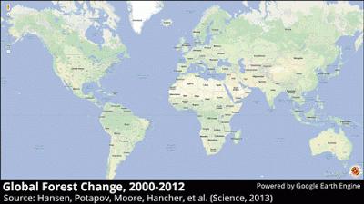 ALARMANTE: Google map revela el ritmo devastador de la deforestación en todo el Mundo Hansen_Global Forest_Change_480x270px_animated